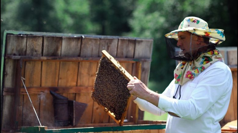 Привітання голови районної ради з Днем пасічника